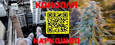 спиды Канаш
