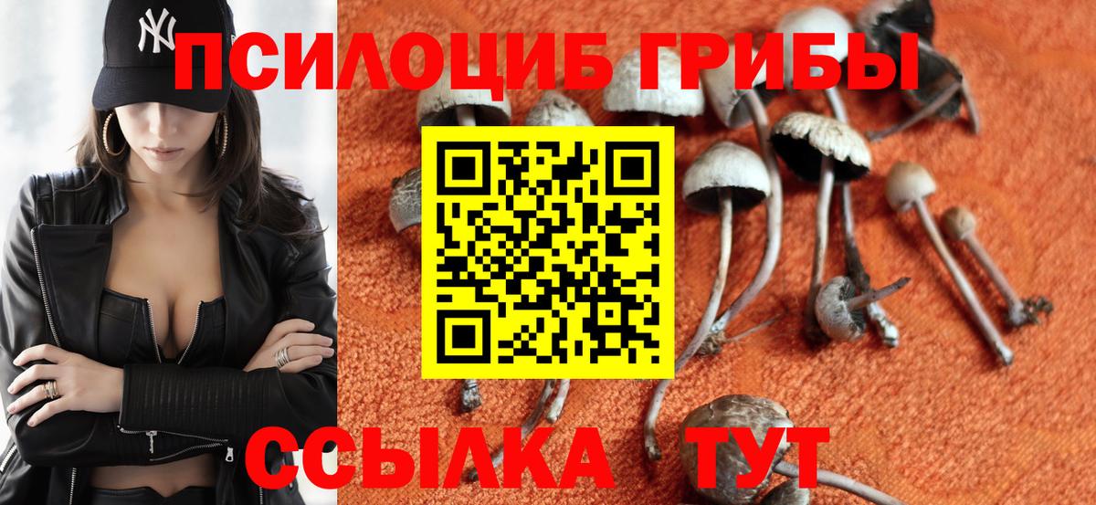 Псилоцибиновые грибы GOLDEN TEACHER Буйнакск