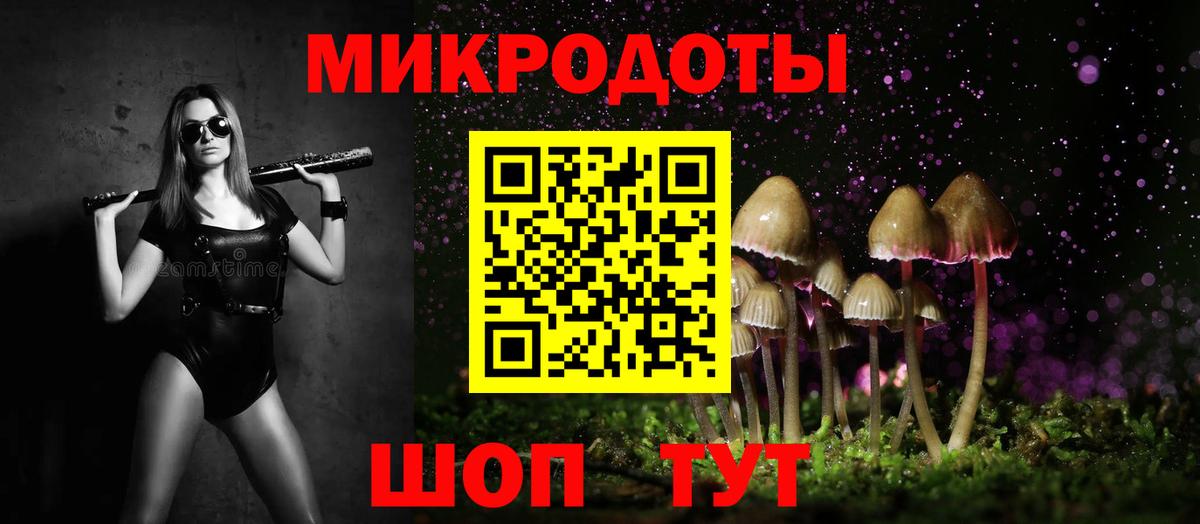 Буйнакск  Псилоцибиновые грибы Psilocybe  Вход с VPN 